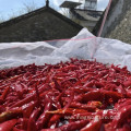 herbs flavored chilies long dry redchilies food seasoning